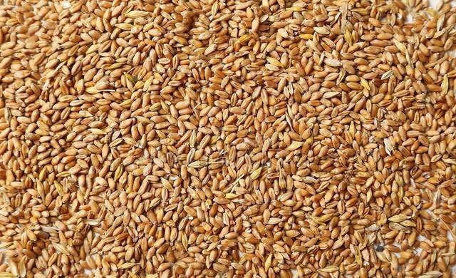 评论区！东凌粮油股票“不虞之誉”