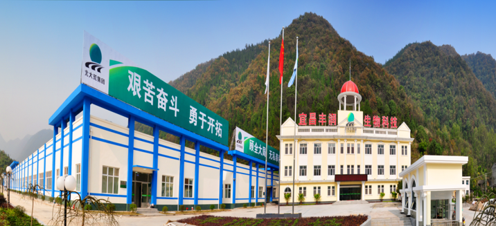 新消息！宜昌交运股票“后来居上”