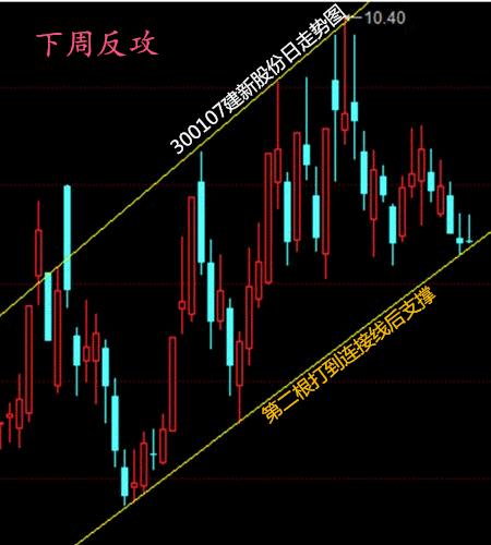 评论区！002044股票“有目共赏”