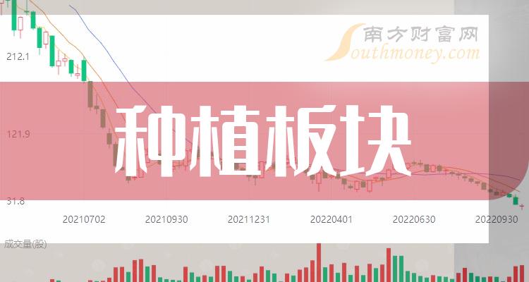 评论区！通化金马股票“赞不绝口”