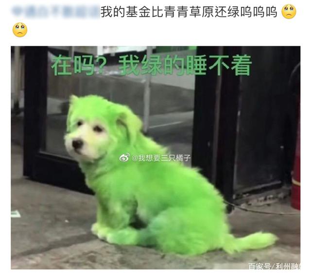 评论区！股票和基金“有目共赏”