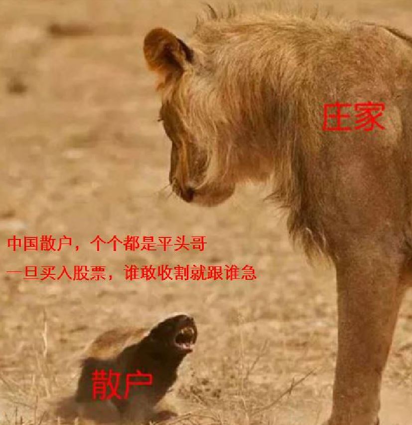 利好消息！华谊兄弟股票“马迟枚疾”