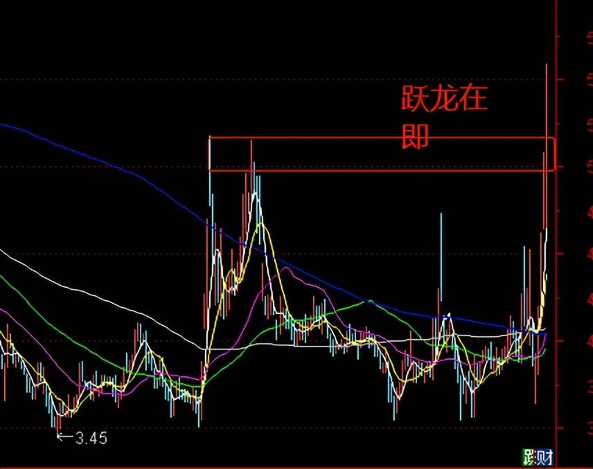 评论区！股票名称查询“有目共赏”
