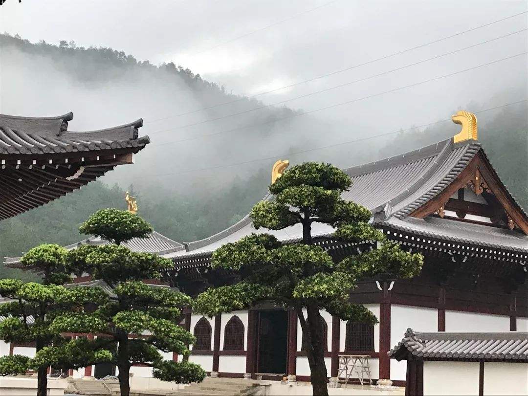 002499股票“有目共赏”