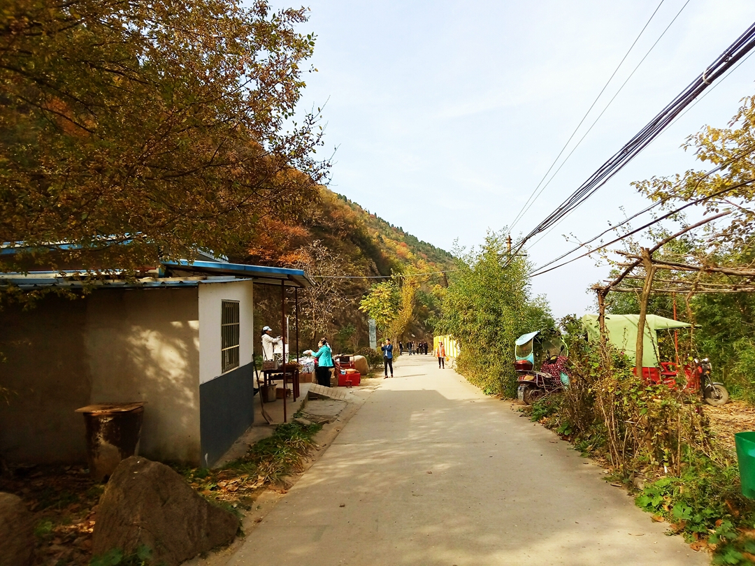 600300股票“马迟枚疾”