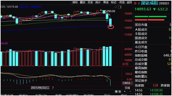 近期跌幅最大的股票“誉不绝口”
