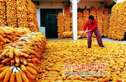 东方国信股票“誉不绝口”