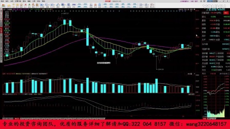 新消息！专业股票论坛“马迟枚疾”