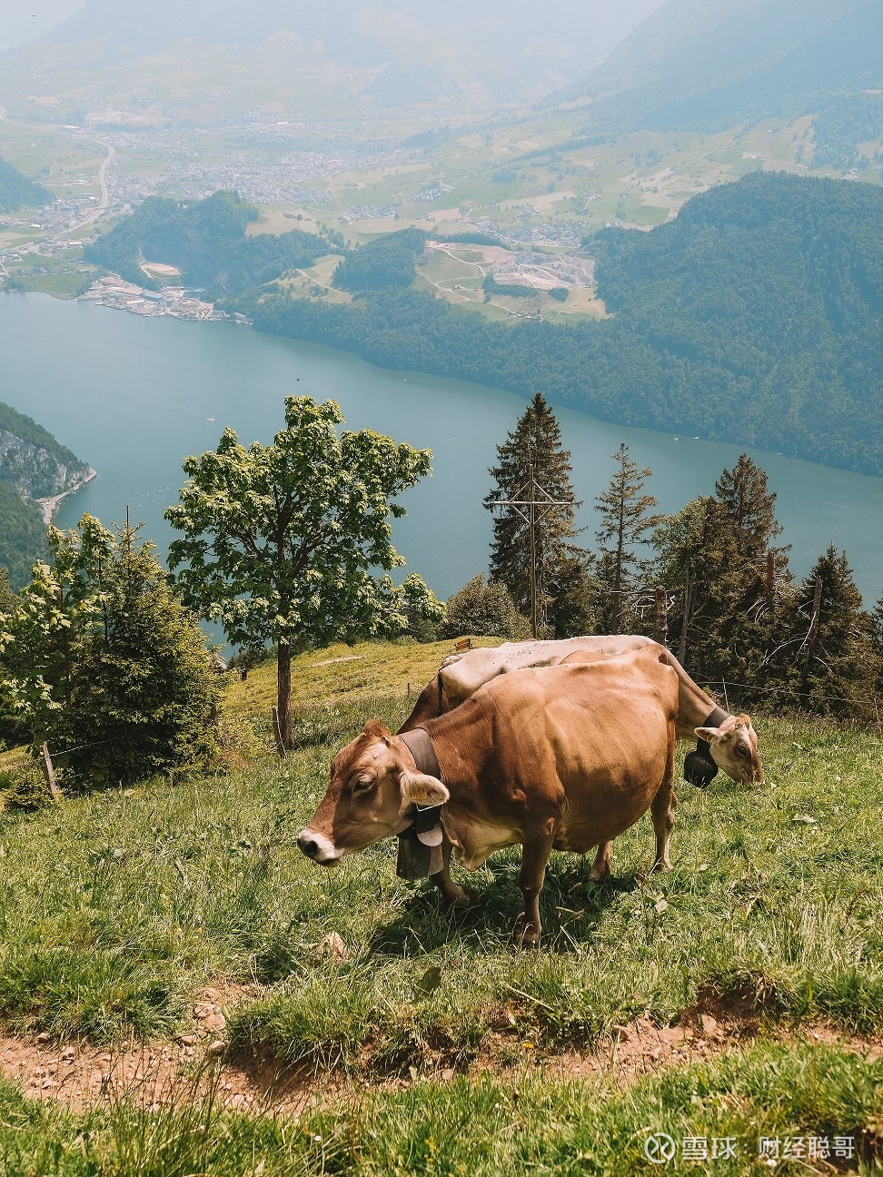 利好消息！最好的免费股票软件“不虞之誉”