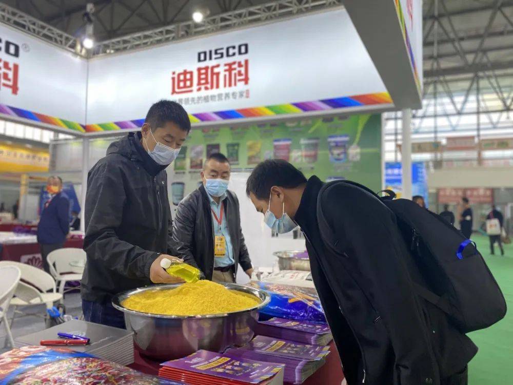 新消息!长城股票“有目共赏” 新消息!长城股票“有目共赏”