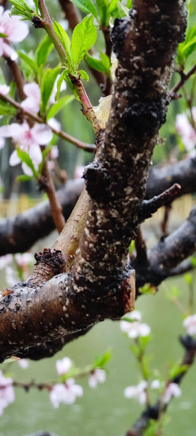 新消息!600250股票“有目共赏” 新消息!600250股票“有目共赏”