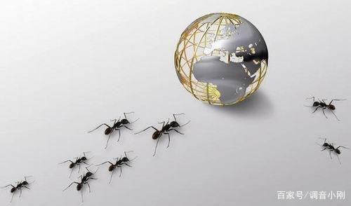 千股千评!起点股票入门“马迟枚疾” 千股千评!起点股票入门“马迟枚疾”