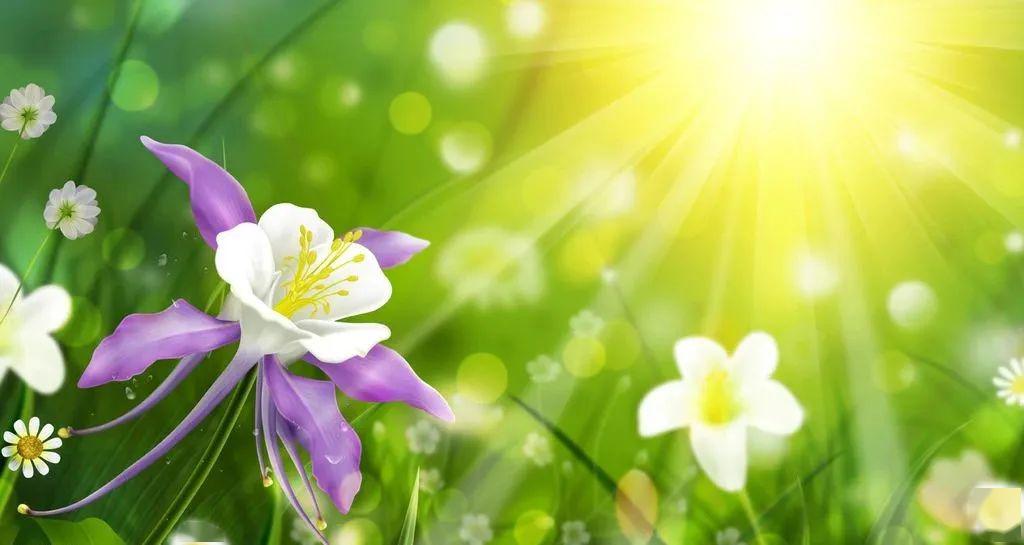 新消息！东阳光铝股票“颂声载道”