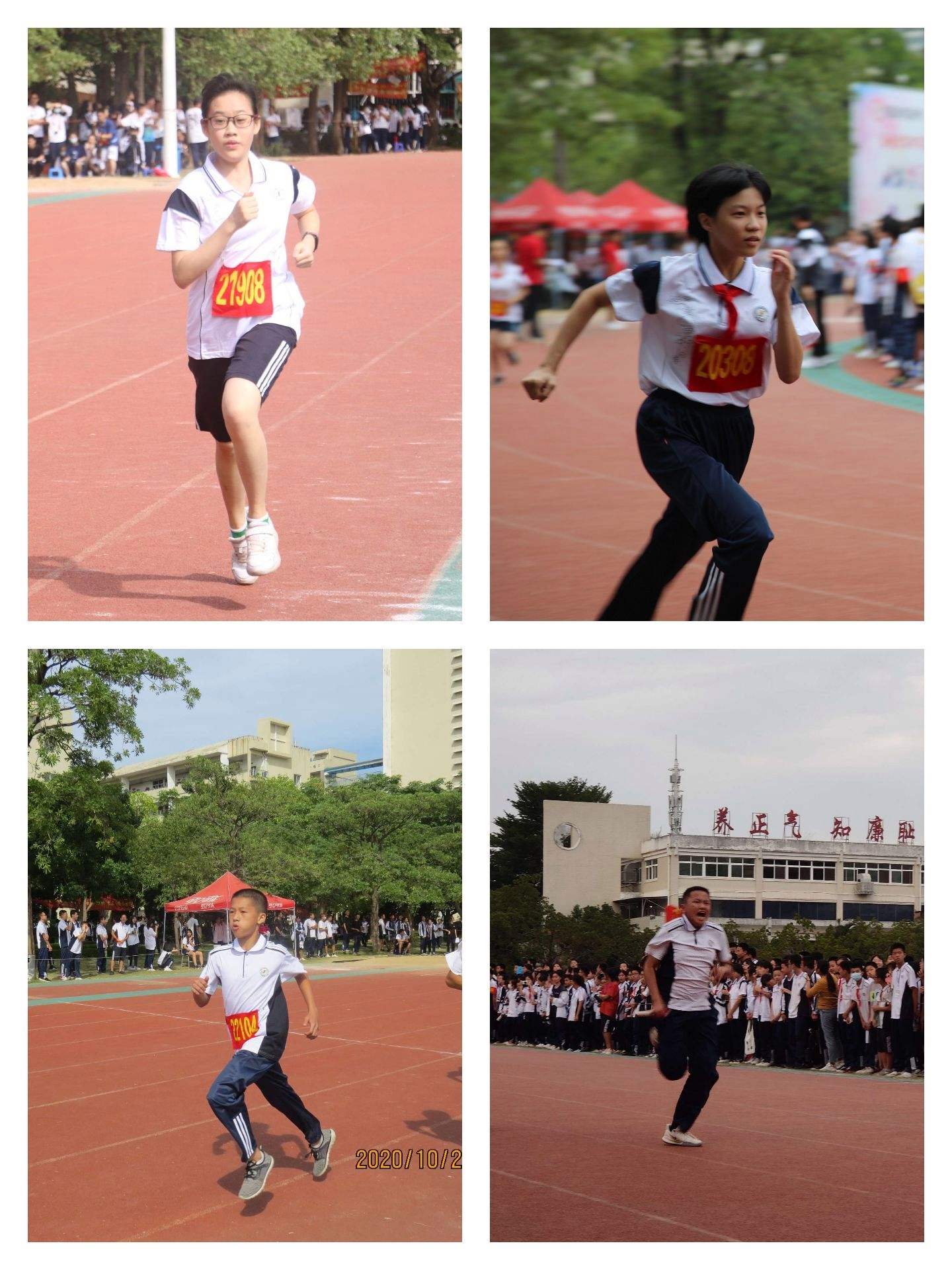 评论区！漳州发展股票“颂声载道”