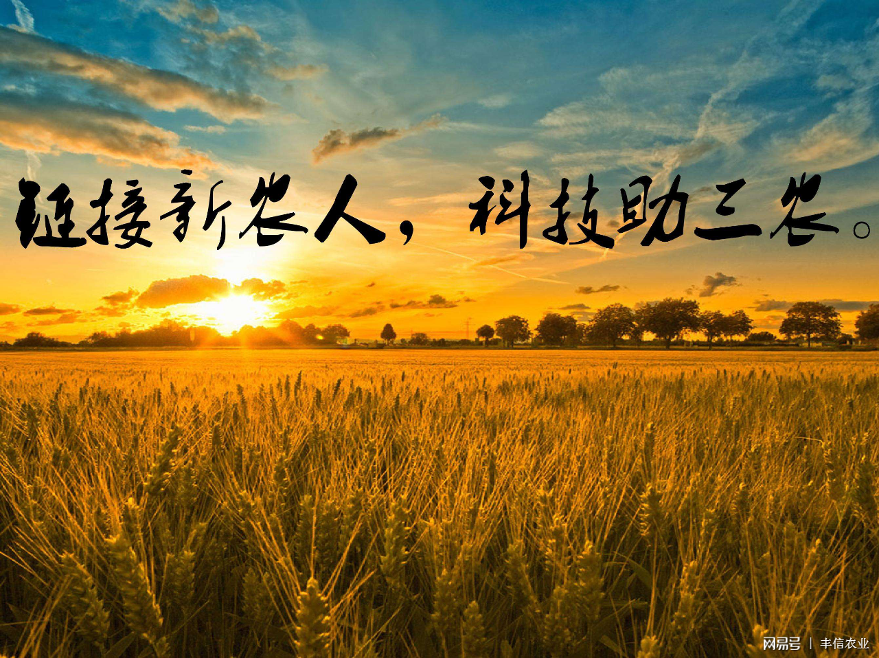 新消息！农业股票有哪些“谈不容口”