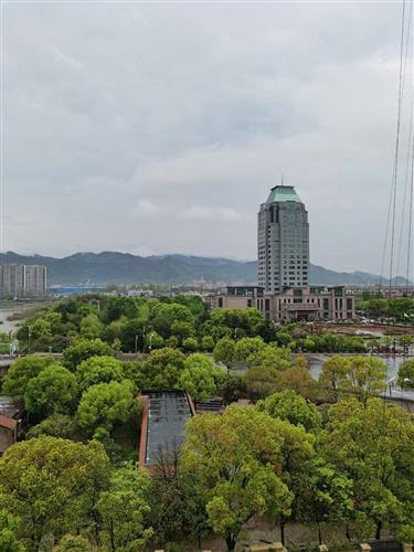 股吧！002056股票“誉不绝口”