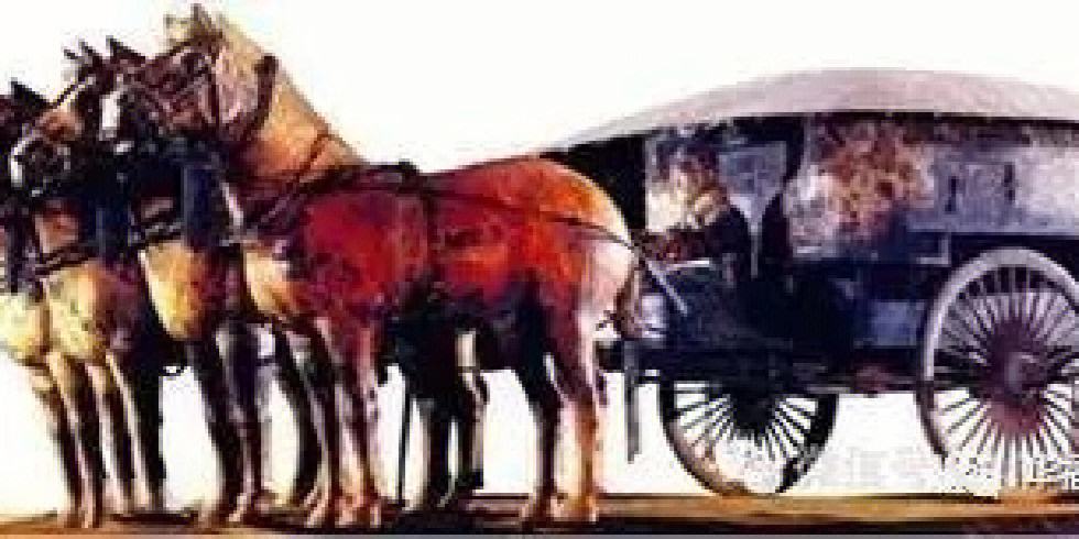 股吧！最好的股票论坛“马迟枚疾”