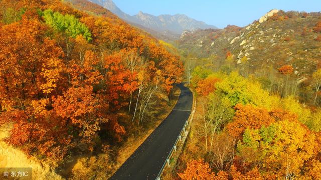 大西洋股票“马迟枚疾”