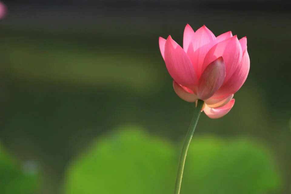 股票投资论坛“有目共赏”