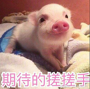 评论区！000922股票“善颂善祷”