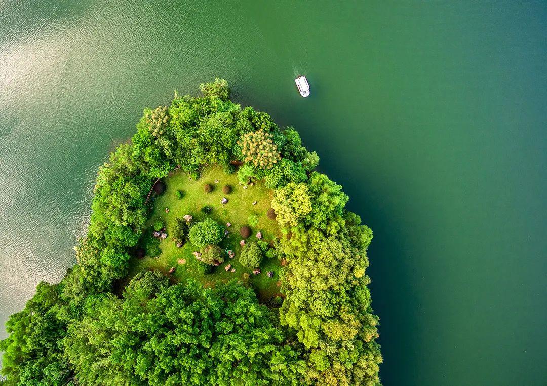 千股千评!棕榈园林股票“有目共赏” 千股千评!棕榈园林股票“有目共赏”