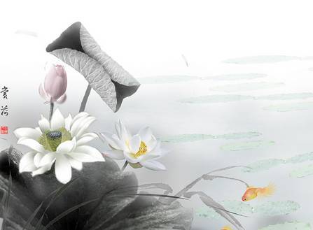 新消息！股票博客推荐“善颂善祷”