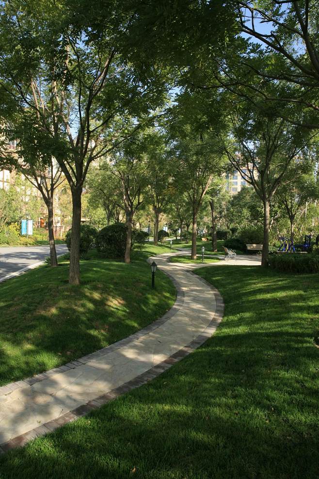 评论区！普邦园林股票