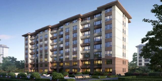 热点！杠杆式股票“善颂善祷”