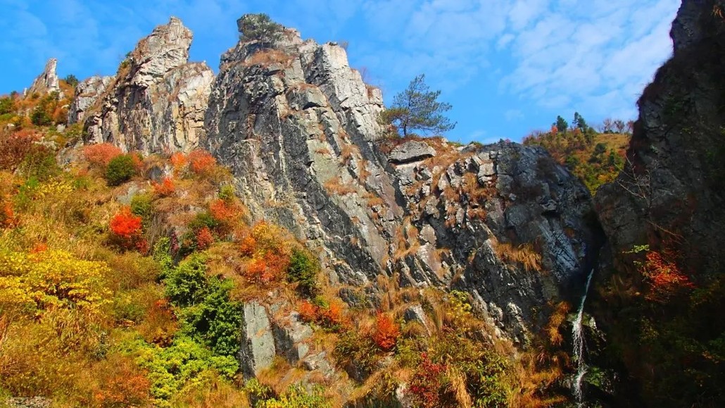 300276股票“谈不容口”