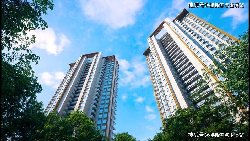 热点！双塔食品股票“交口称誉”