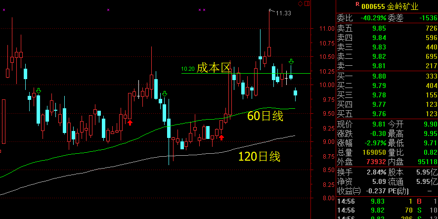 热点！000655股票