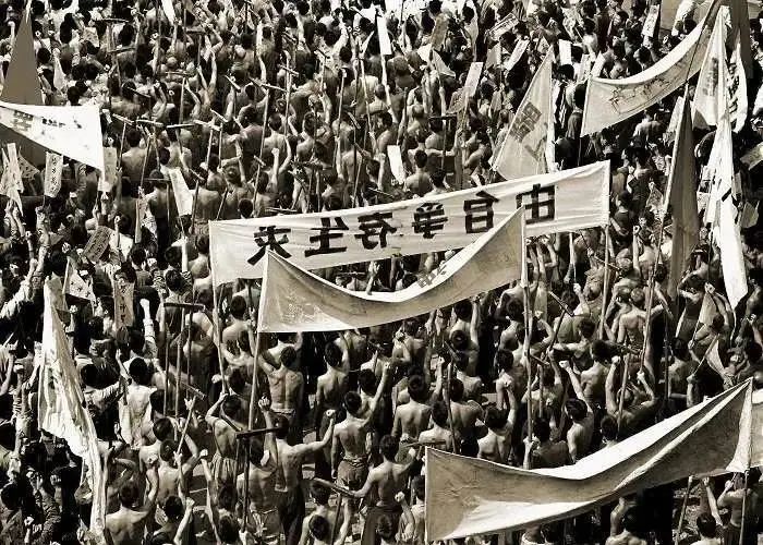 新消息！天天股票“不虞之誉”