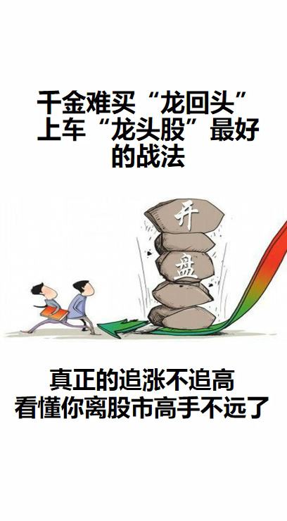 千股千评！山东海龙股票“谈不容口”
