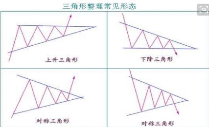 评论区！大馋猫也来炒股票“后来居上”