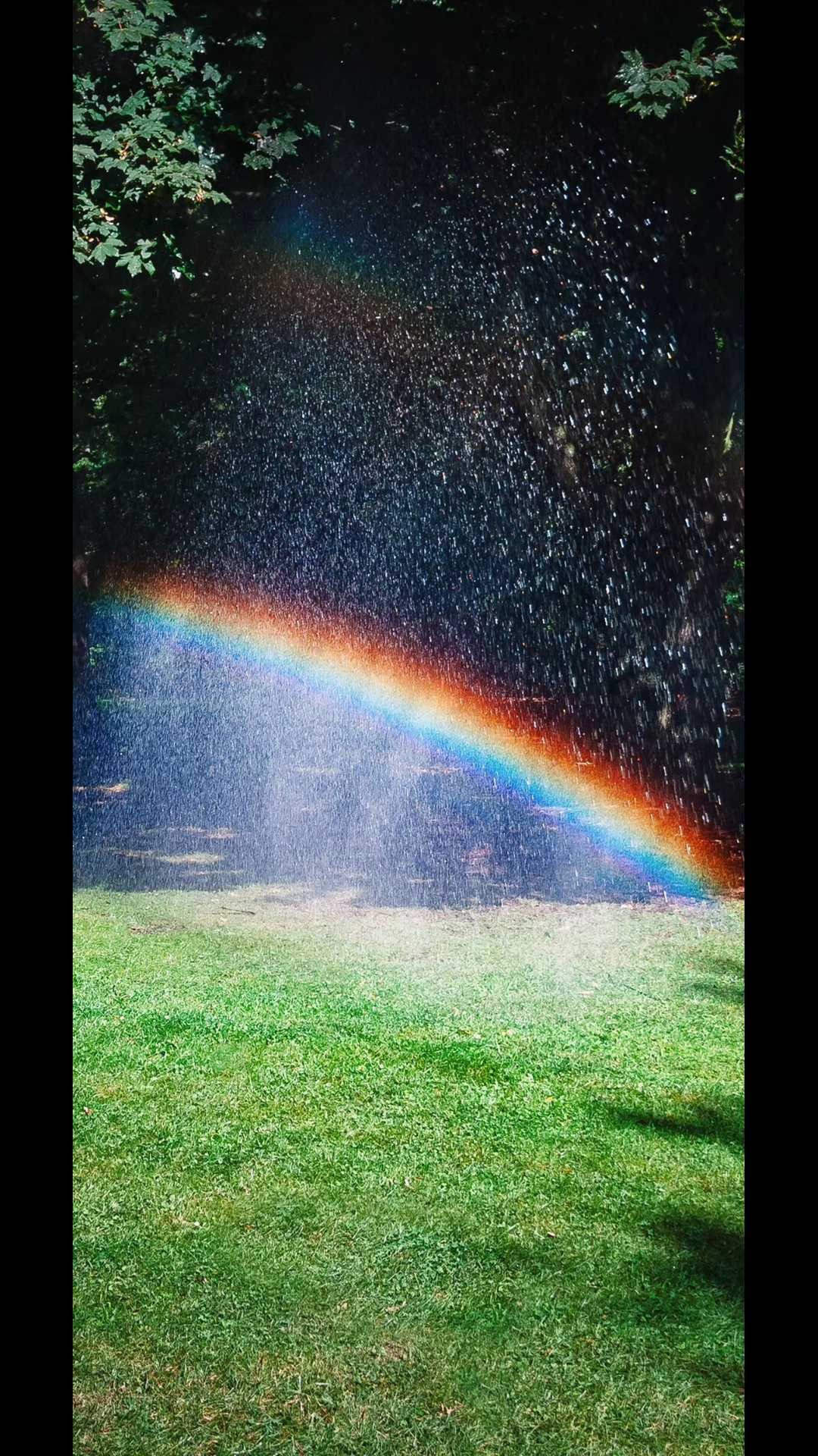 600846股票“马迟枚疾”