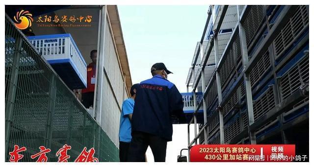 太阳鸟股票 太阳鸟股票