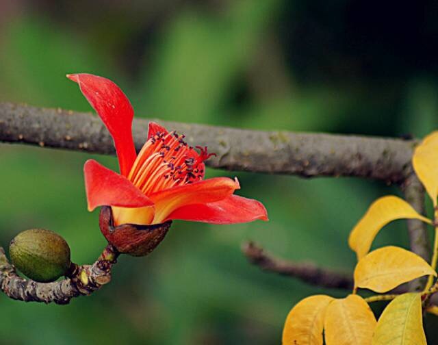 评论区！300156股票“后来居上”