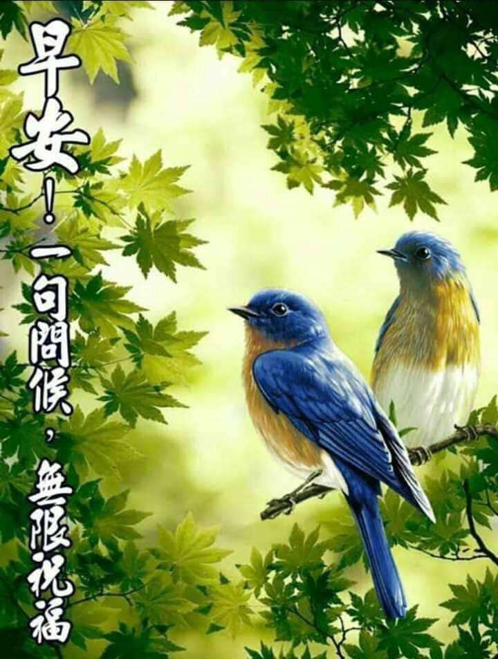 000581股票“交口称誉”