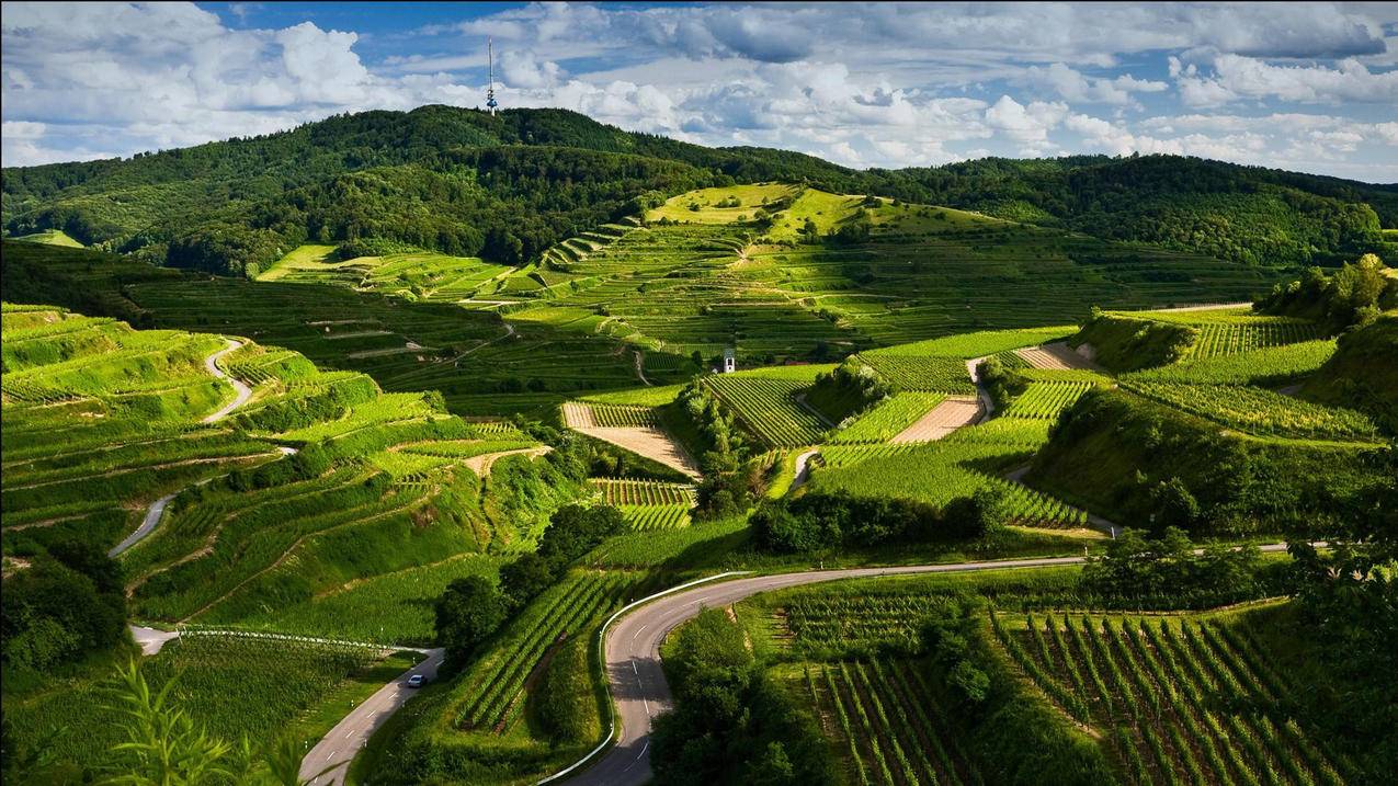 中冶股票“谈不容口” 中冶股票“谈不容口”