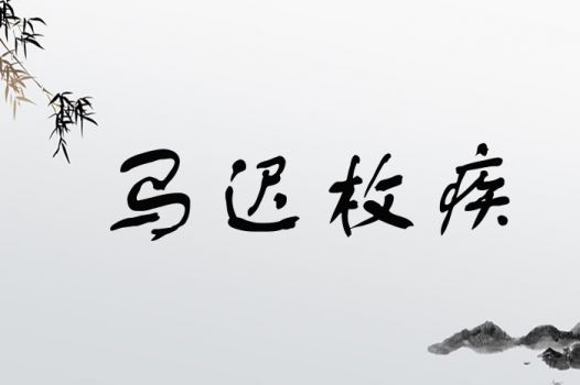 热点！股票开户网上“马迟枚疾”