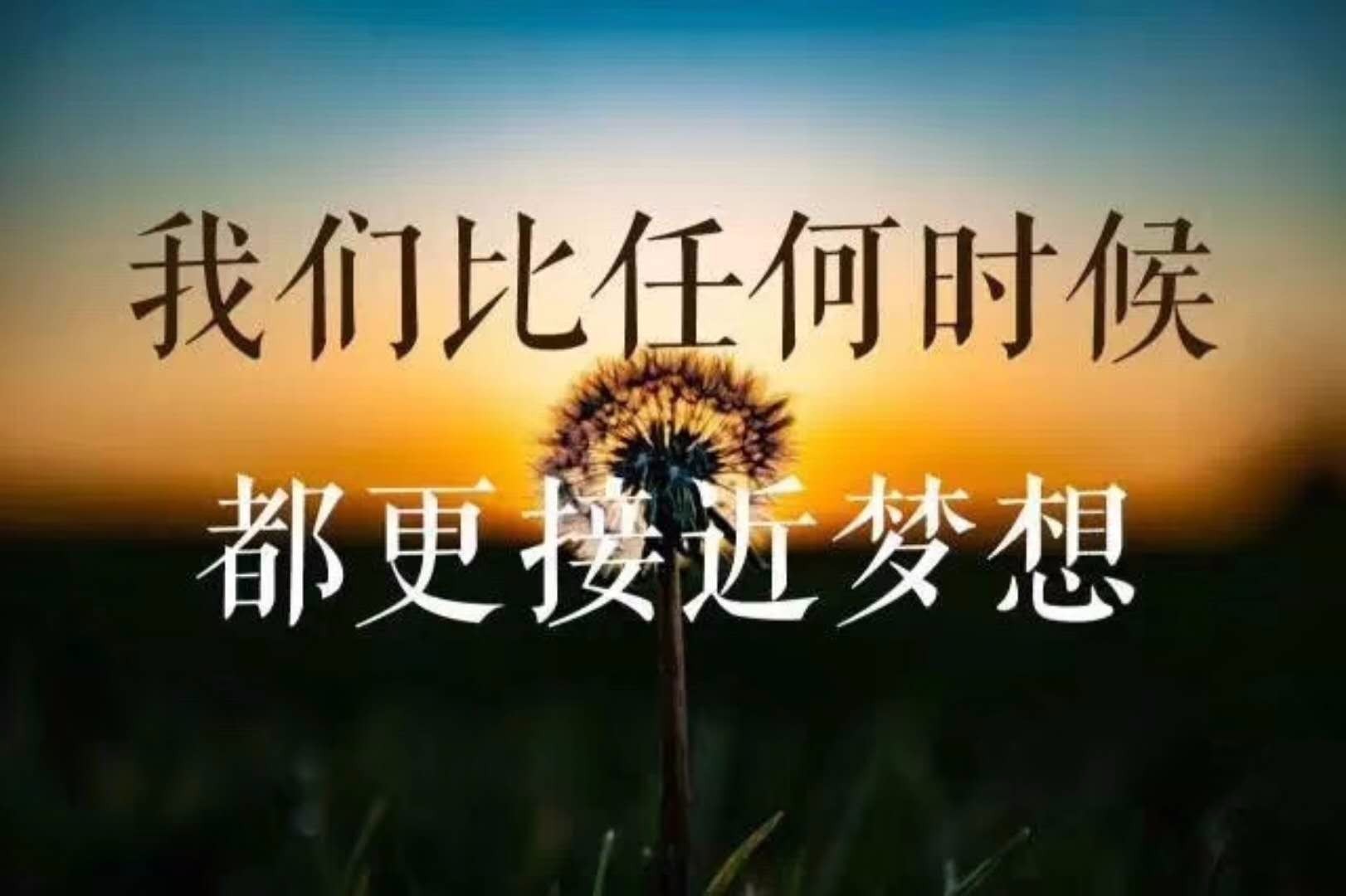 今日行情！淘股吧股票论坛官网“善颂善祷”