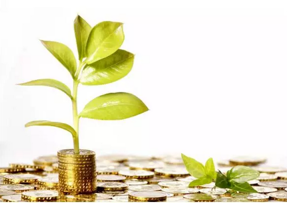 新消息！茶叶股票“不虞之誉”