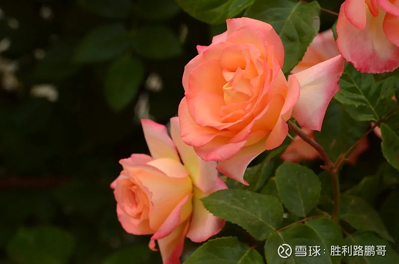 热点！股票600734“后来居上”