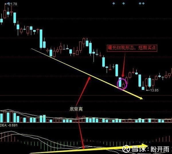 今日行情！000851股票“誉不绝口”
