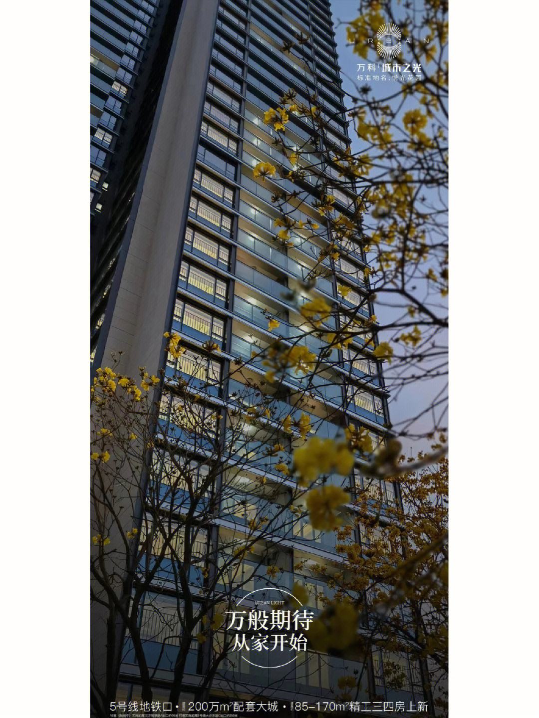 热点！万科股票代码“善颂善祷”
