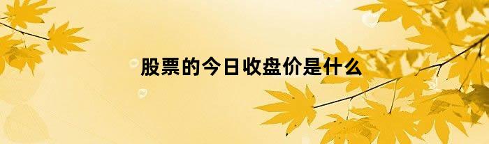 今日行情！股票配股怎么买“谈不容口”