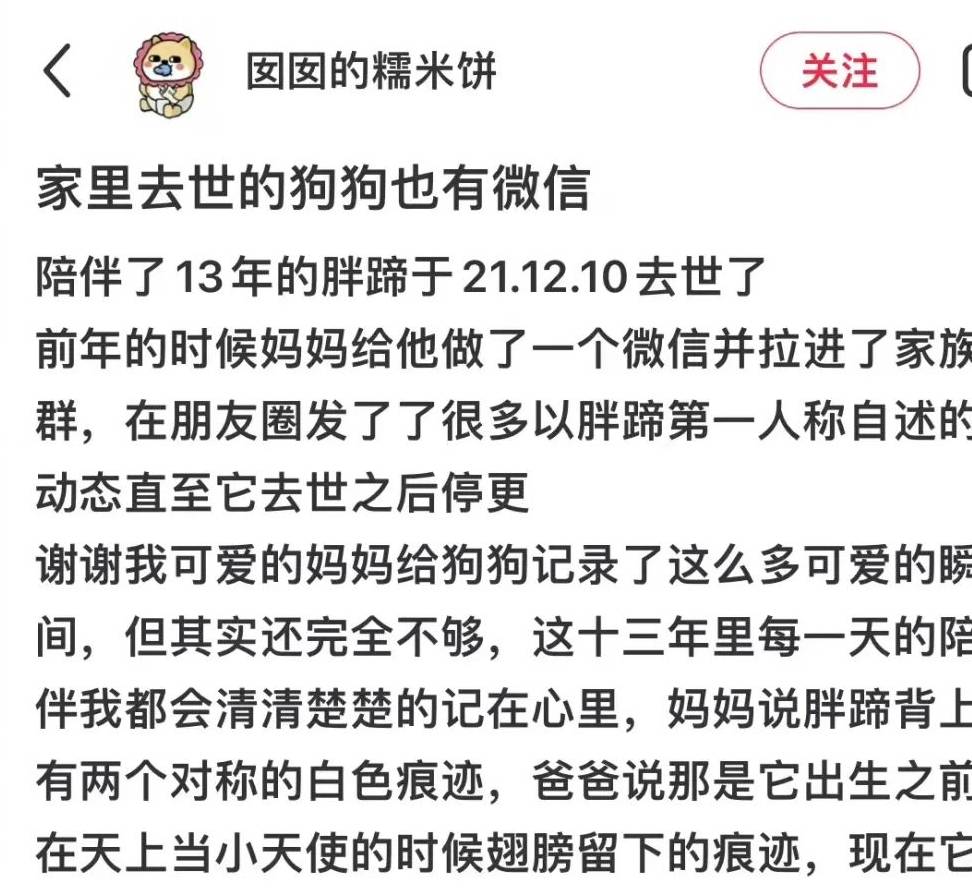 千股千评！好想你股票“马迟枚疾”