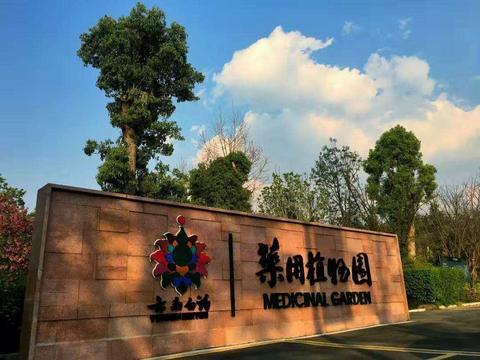 热点！云南白药股票“善颂善祷”