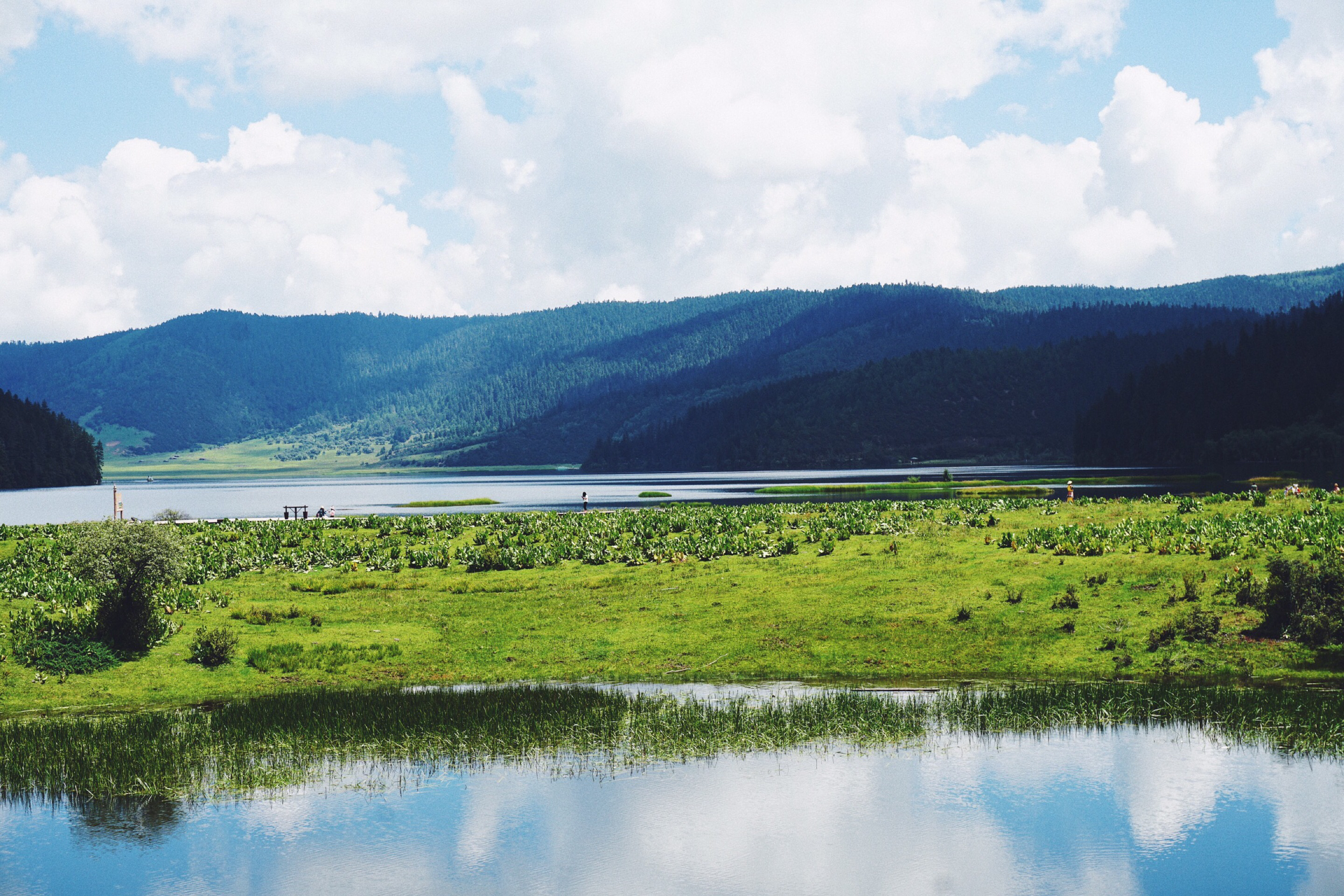 云南旅游必去景点_云南旅游景点排名前十名