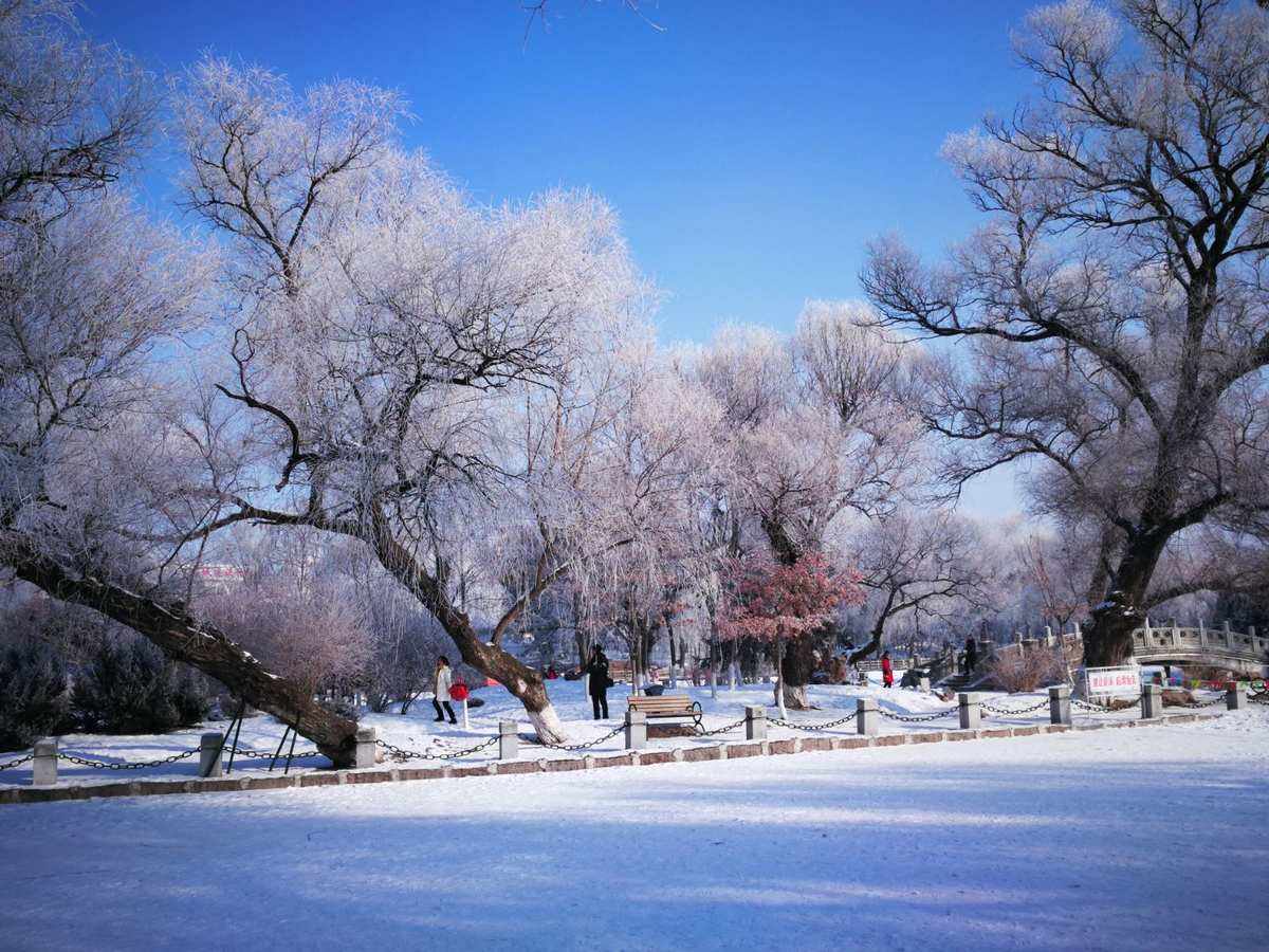 冬天旅游去哪里_冬季旅游去哪里是最佳的选择?